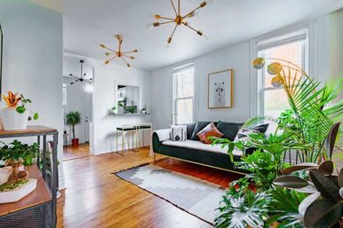 Sunny modern apartment living room with hardwood floors, green velvet sofa, gold starburst light fixtures, large windows and abundant indoor plants