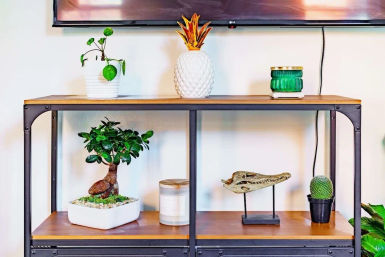 Modern living room industrial wood-and-metal console shelf styled with indoor plants and quirky decor: white ceramic pineapple, green jar candle, potted trailing plant on top; lower shelves display a bonsai in a white planter, a small cactus, a jar candle, and a decorative reptile skull on a stand.