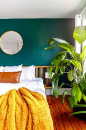 Sunlit modern bedroom with deep teal accent wall, round gold mirror, wooden slatted headboard, large leafy indoor plant, white bedding, brown leather pillow and mustard-yellow fuzzy throw on warm wood floors.