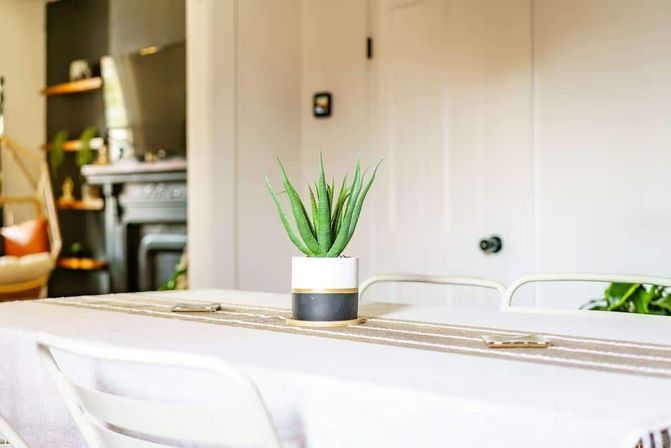 Potted succulent centerpiece on a striped runner atop a bright dining table in a modern minimalist home interior