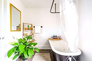Bright spa-like bathroom with black clawfoot tub and clear shower curtain, wooden bath tray with bottles, large green potted plant, bamboo ladder shelf, gold-framed mirror and woven rug on dark tile floor against white walls.