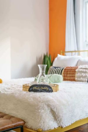Sunlit cozy boho bedroom with white faux-fur bedspread, gold tray holding a glass carafe and glasses, black sleep mask reading "Plant Daddy", orange accent wall and houseplant