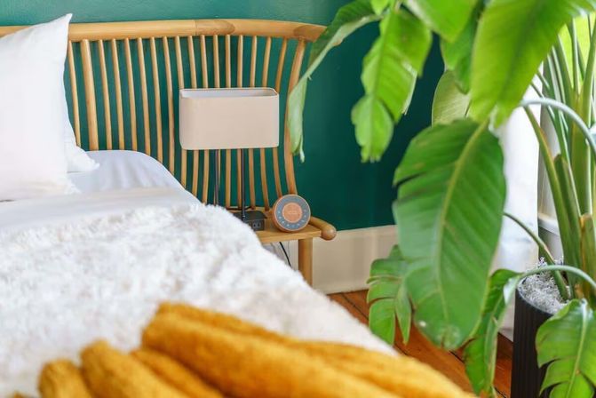 Cozy bedroom corner with rattan headboard and teal accent wall, white bedding and mustard throw, bedside lamp and clock on a wooden nightstand, large potted plant in foreground