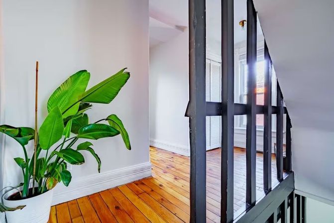 Bright upstairs landing with polished hardwood floors, potted bird-of-paradise plant, white walls and black spindle railing lit by natural light.