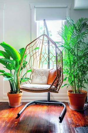 Cozy boho hanging rattan chair with fringe and leather pillows, flanked by tall potted tropical plants in a sunlit window corner on glossy hardwood floor