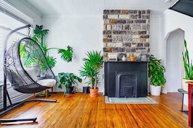 Sunny modern living room with honey hardwood floors, black hanging egg chair by a bright window, assorted potted indoor plants, and a stone chimney with a black fireplace mantel.