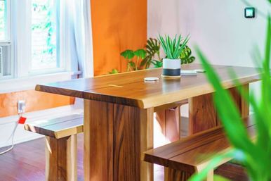 Cozy sunlit dining room featuring a large live-edge wooden table with matching benches, a potted succulent centerpiece, orange accent wall, white-trim window and hardwood floors.
