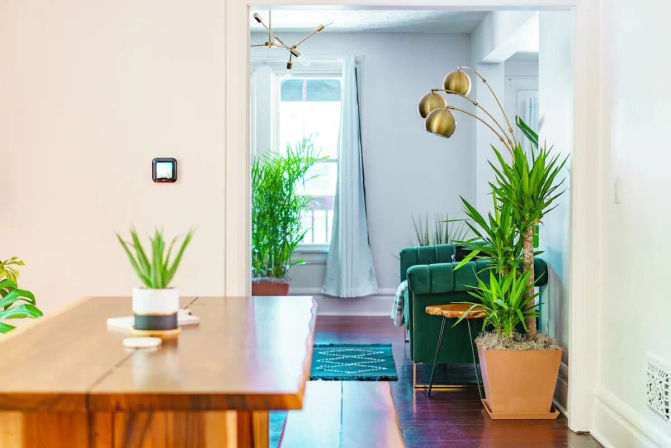 Bright modern apartment interior with a wooden dining table in the foreground, green velvet sofa in the living room, brass arc floor lamp and several potted indoor plants.