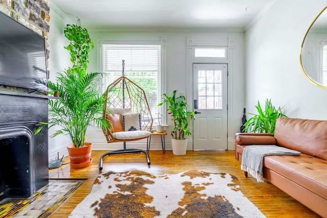 Sunlit boho-chic living room with a hanging rattan chair, leather sofa, fireplace, lush houseplants, cowhide rug and hardwood floors.