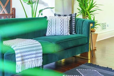 Emerald green velvet sofa in a modern living room with patterned throw blanket, textured decorative pillows, potted plants, gold-accent legs and dark hardwood floor — cozy boho-chic interior.