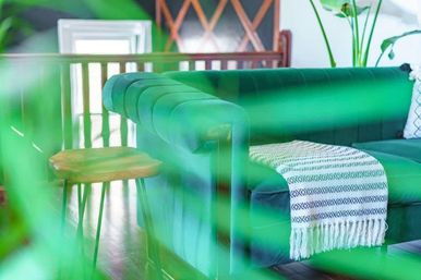 Cozy sunlit living room: emerald green velvet sofa with patterned white throw, small wooden side table, and leafy indoor plants in the foreground.