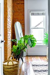 Sunlit loft corner with exposed brick wall, polished hardwood floor, large monstera plant in a black planter, leaning full-length mirror and woven wicker basket.