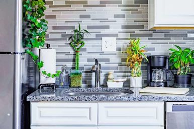 Modern kitchen sink area with granite countertop and gray mosaic tile backsplash, stainless faucet, coffee maker, paper towel holder and potted indoor plants (bamboo, ivy)