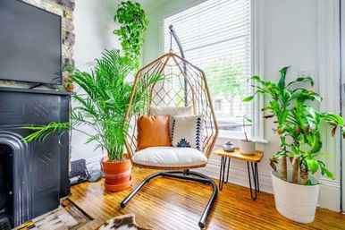 Cozy sunlit boho reading nook in a modern apartment: rattan hanging egg chair with patterned and leather cushions, lush potted indoor plants, small wooden side table, hardwood floor and window blinds.