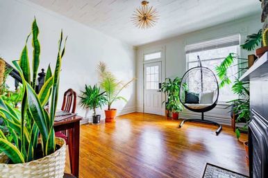 Sunny modern living room with polished hardwood floors, white walls, midcentury starburst light, a hanging rattan egg chair by a large window, and assorted potted houseplants in woven baskets.