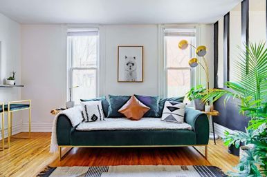 Bright, stylish urban living room with a green velvet sofa, patterned throw pillows, hardwood floors, gold arc floor lamp, potted plants, and a framed animal print between two windows.