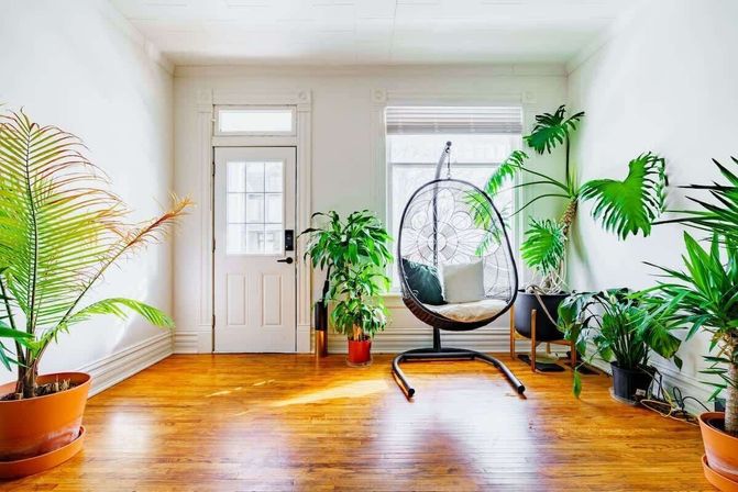 Sunlit cozy living room with a hanging egg chair, warm hardwood floors, and lush potted indoor plants by a white door and window