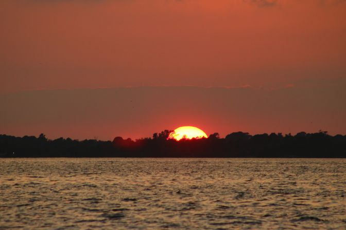Vibrant orange-red sunset dipping behind a tree-lined shoreline with the glowing sun at the horizon and shimmering water in the foreground