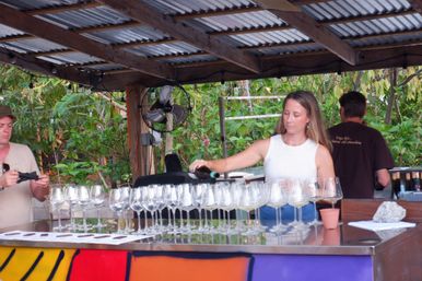 Private Wine Tasting Class! Learn, sip, party! image 11