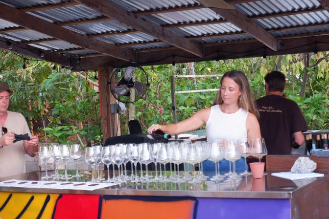 Private Wine Tasting Class! Learn, sip, party! image 11