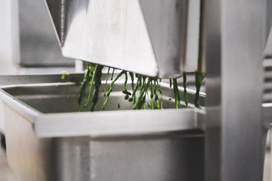 Commercial stainless-steel juicer pressing bright green leafy greens into a metal bin, fresh green juice and pulp dripping into a kitchen container.