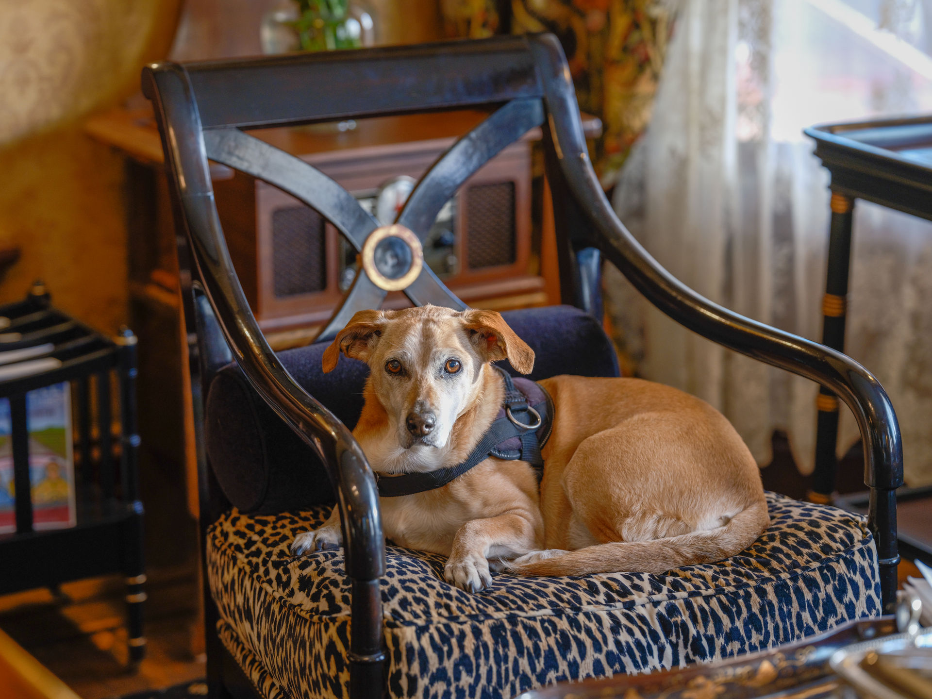 Downtown Napa Boutique Hotel with Breakfast Included image 2