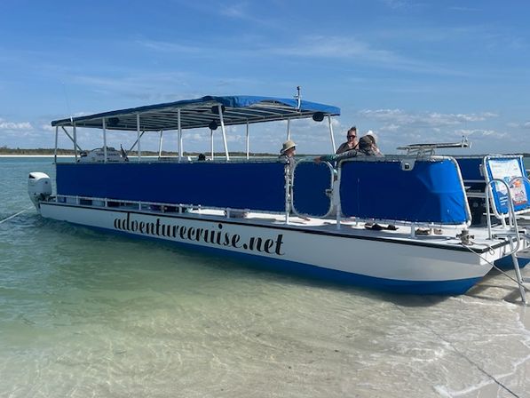 Blue-canopied tour pontoon boat moored in shallow clear turquoise water at a sandy shoreline, a few passengers chatting under a sunny blue sky