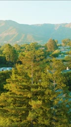 Premium Mobile IV Drips Delivered to Your Group with Riviera IV Therapy image