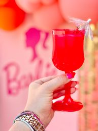 Private Bachelorette Cocktail Class - 30A, FL image 29
