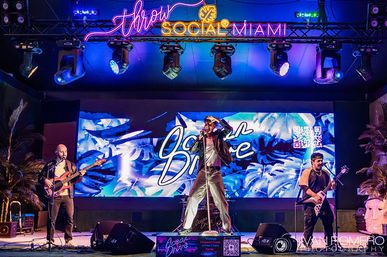 THRōW Social Miami image 13