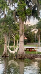 Cozy hammock strung between Spanish-moss-draped cypress trees over a calm lake, with a wooden picnic table on the grassy waterfront at sunset.