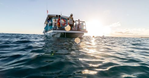 Sunlit passenger boat floating on sparkling ocean at sunset, people on deck enjoying a coastal boat tour