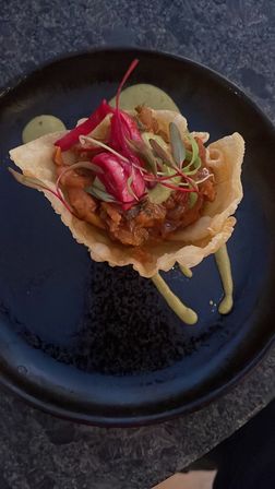 Artfully plated gourmet appetizer: a crispy tortilla cup on a black plate filled with braised meat, bright pickled red onions and microgreens, finished with swirls of green crema.